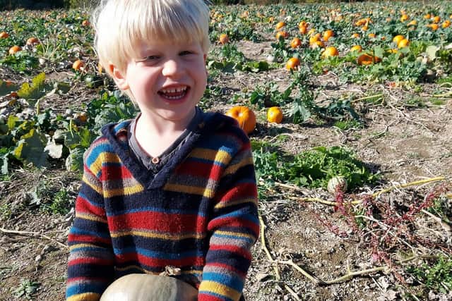 The Pumpkin Patch at Manor Farm