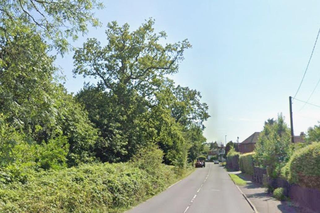 Road near Uckfield blocked and slow traffic after report of fallen tree