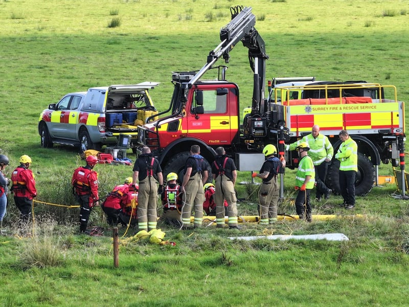 Horse who fell in ditch rescued by West Sussex and Surrey fire crews
