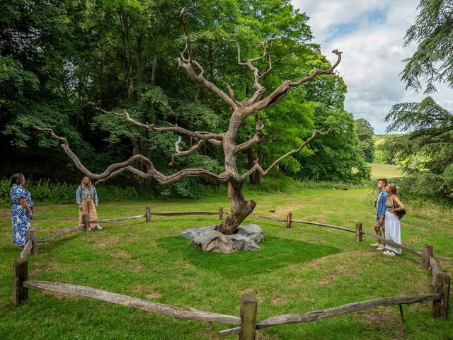 Tattoo Tree by Geraldine Pilgrim. Photo: RBG Kew