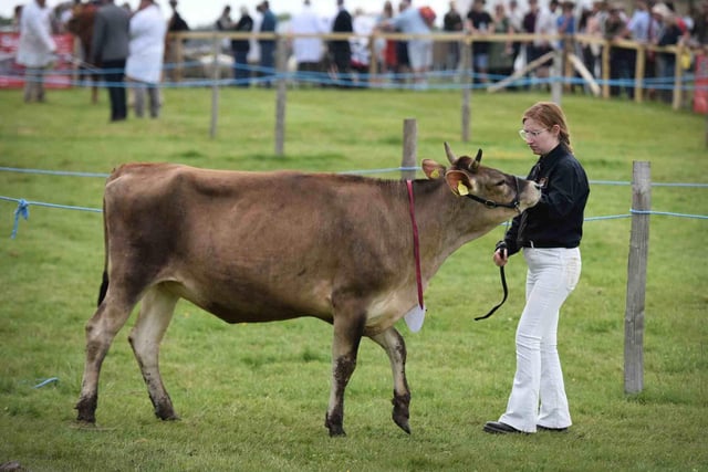 The Cattle, Sheep, Pig and Horse competitions will take place throughout the day in their respective areas of the Showground.