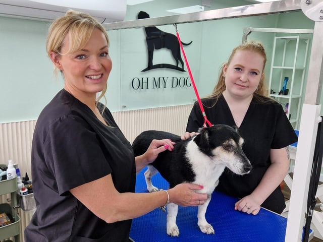 Oh My Dog, a dog grooming service has recently opened in Valebridge Road, Burgeess Hill. SR2508122. Pic S Robards/Nationalworld