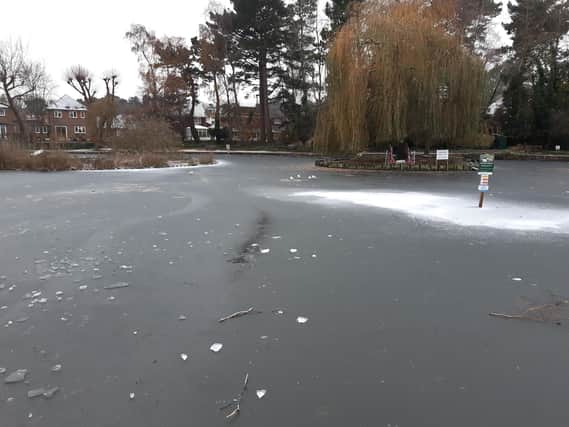 The pond in Storrington is well and truly frozen as snow hit the village