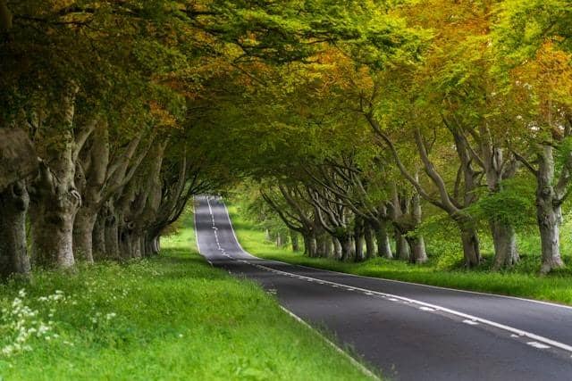 A new report ranks different roads in West Sussex based on the amount of time people are delayed during their journeys