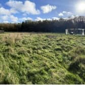 The site of the proposed children's nursery and forest school in Rowhook near Horsham