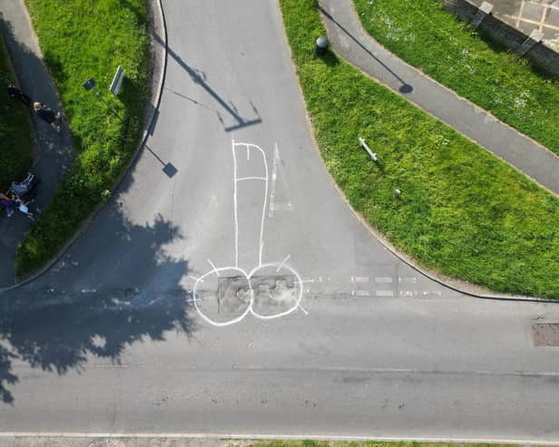 Locals have graffitied two large penises on potholes in Tangmere.