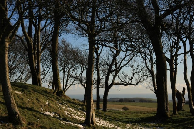 This popular spot is reputed to be one of the most haunted locations on the South Downs. The beech trees that circle the ring were first planted in 1760. But long before it was the site of Bronze Age burials,  Iron Age forts and a Roman temple. According to local stories, walking widdershins (anti clockwise) seven times round the ring will summon the Devil, ready to offer you a bowl of milk, soup or porridge in exchange for your soul.