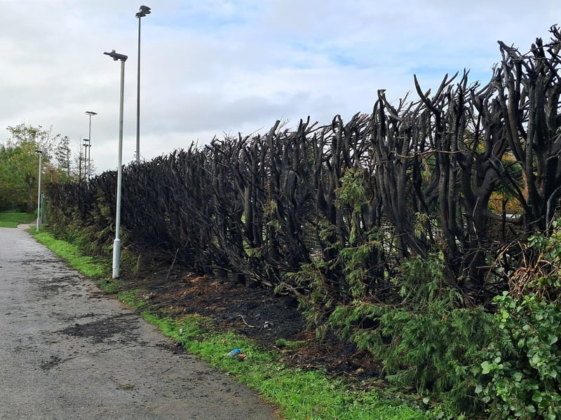 Children were ‘sitting in the stand for a debrief session’ when a large fire broke out at a football club in East Sussex – with the incident being treated as arson.