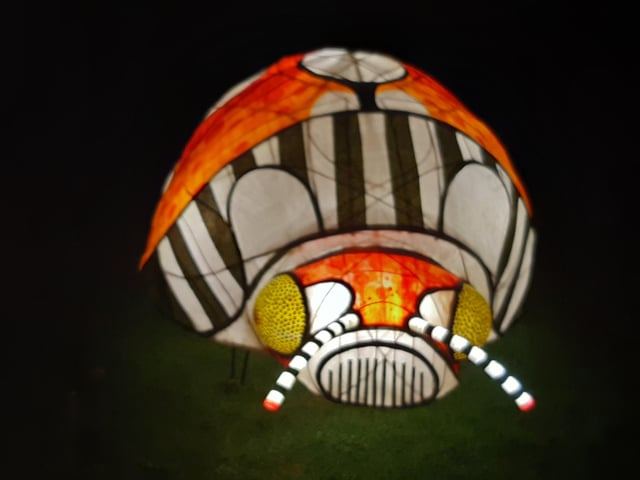 An enchanting winter lantern trail at Wakehurst Place