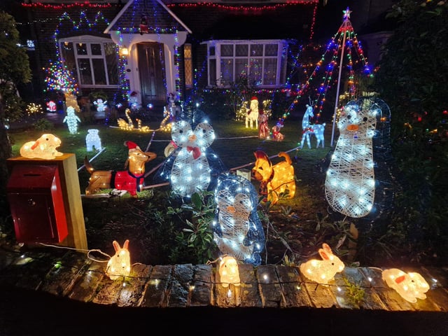 The animal-themed Christmas lights display at 22 Gorse Avenue, Worthing, has been put together by John Wollaston Landscapes and Property Maintenance to raise money for Wadars Animal Rescue Charity.