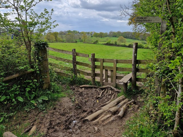 You come to another stile on your right. Climb over but then turn left to follow the path south.