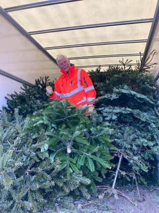 St Wilfrid’s Hospice in Chichester is offering a Christmas tree collection service at the start of the new year.