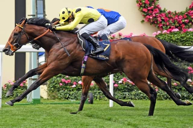 Sussex Races Five reasons why Sussex is the most glorious place to be this weekend ...