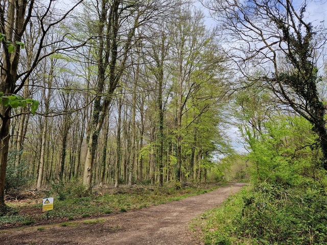 Note, this is the path you would be coming down had you followed the middle path I mentioned earlier