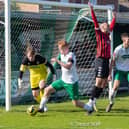 Lewes appeal for a penalty at Nyewood Lane | Picture: Trevor Staff