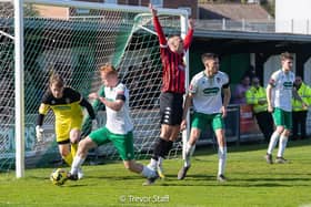 Lewes appeal for a penalty at Nyewood Lane | Picture: Trevor Staff