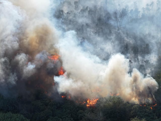 Fire crews worked ‘throughout the night’ to bring a wildfire under control at a beauty spot in Sussex.