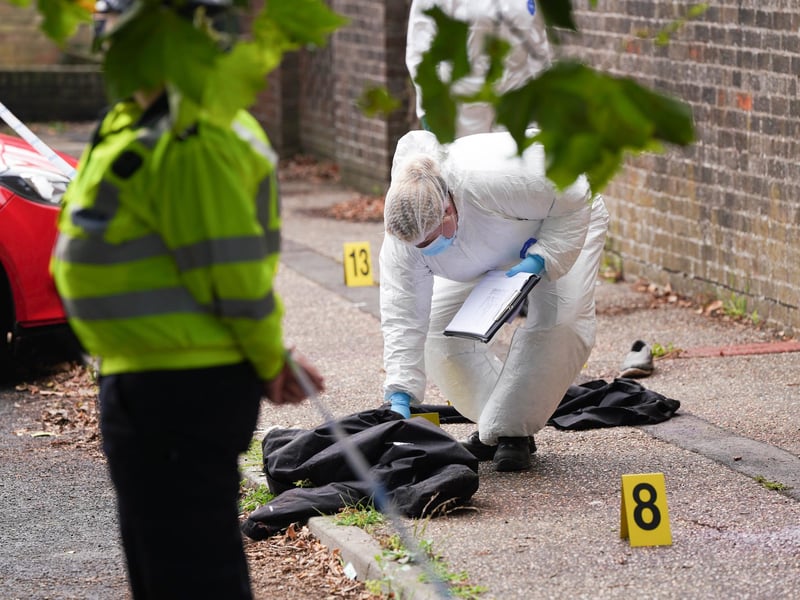 SUSSEX NEWS AND PICTURES - news@sussexnewsandpictures.uk - 012 73 93 02 02
Police have shot and killed two dogs after an elderly man was attacked in the street.
