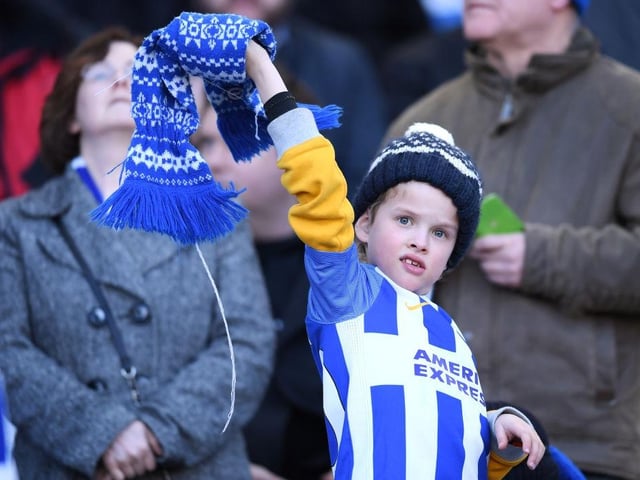 A Brighton and Hove Albion fan looks on during the The Emirates FA Cup Fifth Round between Brighton and Hove Albion v Coventry City at Amex Stadium on February 17, 2018.