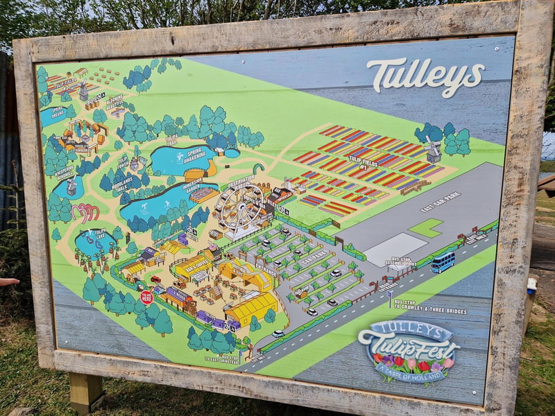 Tulleys Tulip Fest celebrates the arrival of spring with 1.5 million blooms in the fields