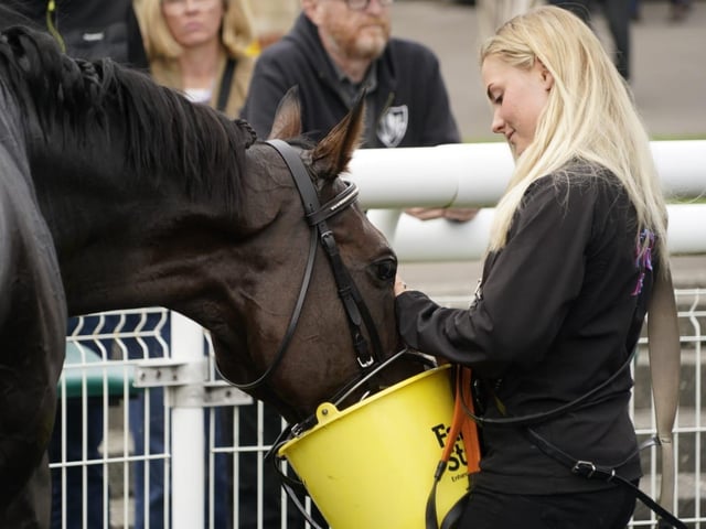 September jump racing at Fontwell Park