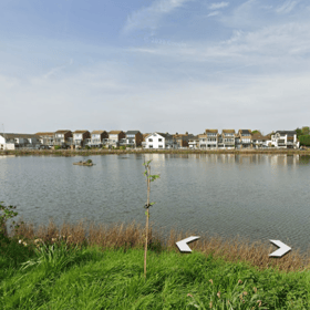 Police are investigating after a man was reportedly hit in the leg by a projectile or BB gun pellet while sitting by a pond in Southbourne. Photo: Google Earth.