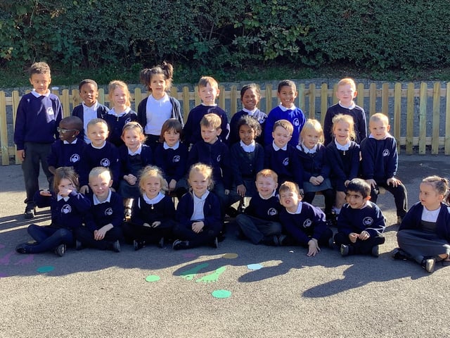 Gossops Green Primary - Cherry class