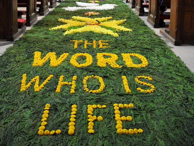 Corpus Christi Carpet of Flowers 2022 at Arundel Cathedral. Pic S Robards SR2206162