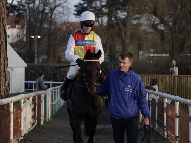 Boxing Day racing at Fontwell Park, 2025