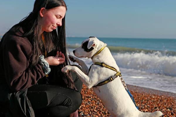 Chloe and Logan, her favourite canine companion at Dogs Trust.