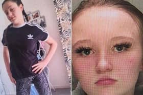 Sussex Police are searching for Gracie (left) and Eden, who have been reported missing from Crawley. Picture courtesy of Sussex Police