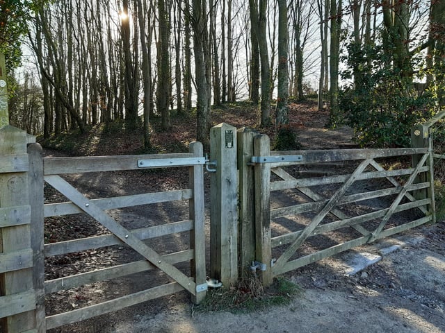 You need to go through the gate, which was funded by the Friends of the South Downs. This was on the left as you came up the hill, and turn right immediately.
