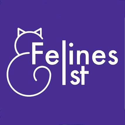 Felines 1st Logo