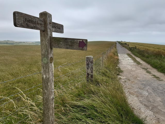 Look out for this three-way signpost. The Sussex Border Path goes right here but we are carrying straight on to go over Mount Zion.