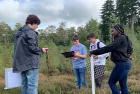 Collyer’s students collect biodiversity data