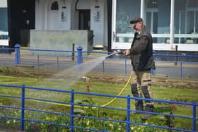 Eastbourne ranks in top five for best place to be a gardener