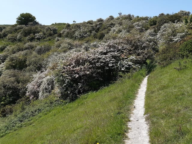 It is pretty clear once you are on it but it is not that wide.