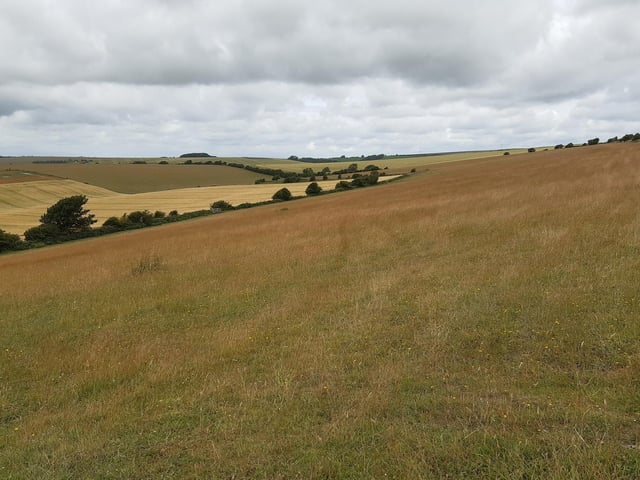 There is a gate halfway along the hedgerow but if you look to the right, you see the corner of the trees and bushes (about centre in this picture), and that is where to head for.