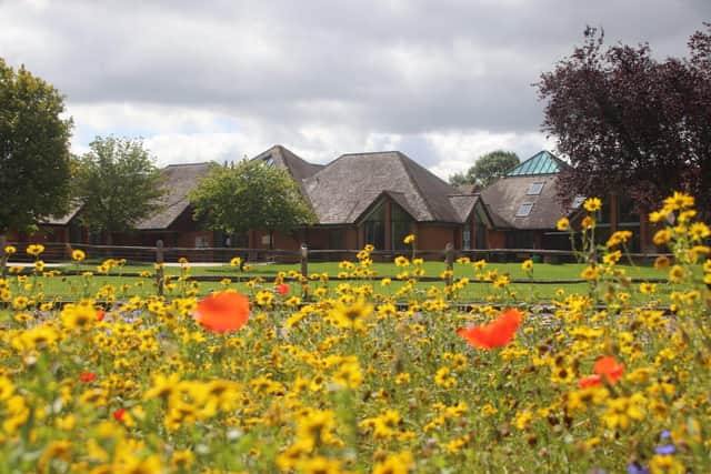 More wildflower sites will soon be be springing up around Highfield and Brookham