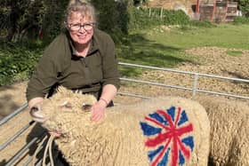 Judy Blackman with her Southdown sheep
