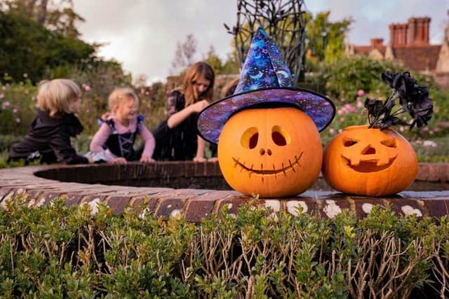 Halloween Trail &amp; Activities at Borde Hill, West Sussex