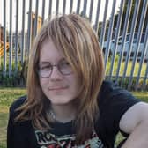 Dylan, also known as Xylo was reported missing from Lincolnshire on Wednesday, July 19. Picture: Sussex Police