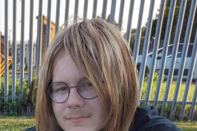 Dylan, also known as Xylo was reported missing from Lincolnshire on Wednesday, July 19. Picture: Sussex Police