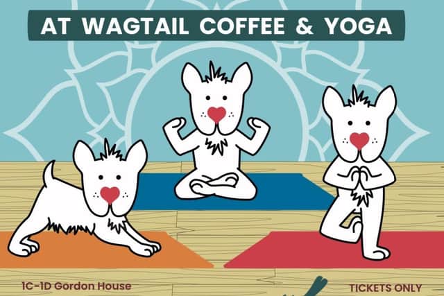 Downward dog will take on a whole new meaning this weekend as a beginners’ yoga class will be taken over by adorable pooches for charity.