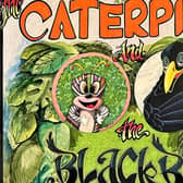 Unveiling the Magical Show: "The Caterpillar and The Blackbird" 