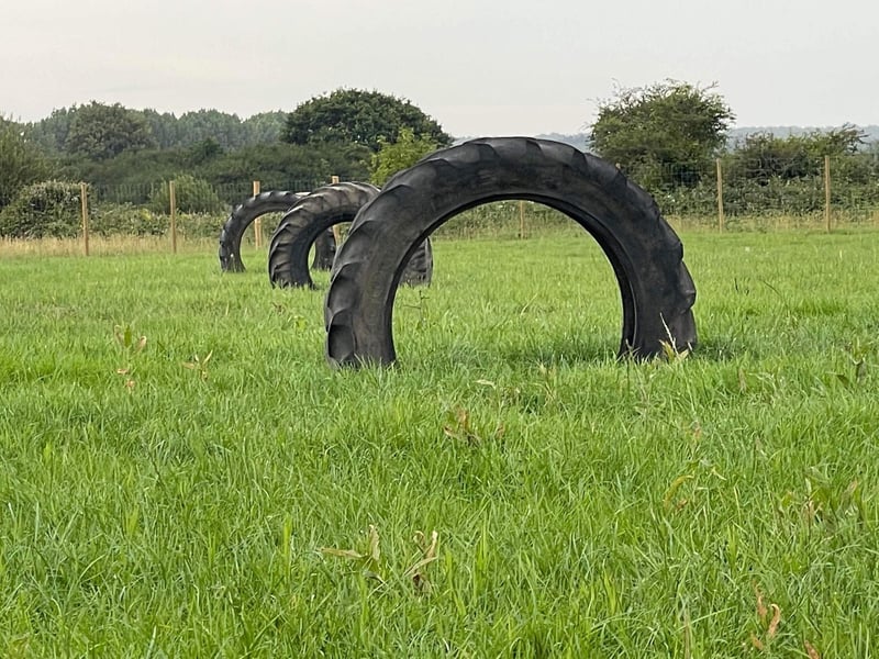 Equipment for dogs to enjoy in the field.