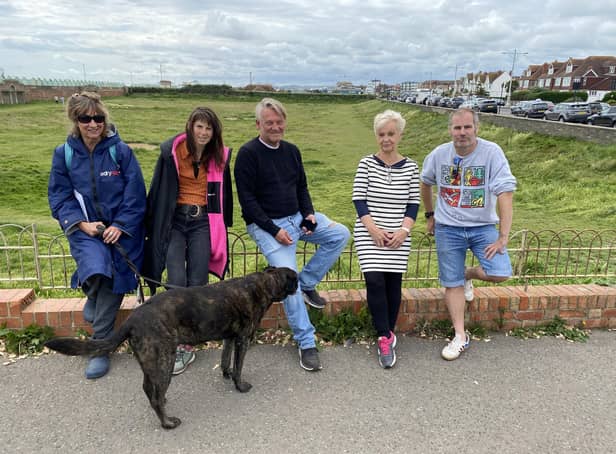 Seafront Petitioners Liz  Cook, Carrie Rawle, Barry Hemblade, Jenny Williams and Stephen Ellis