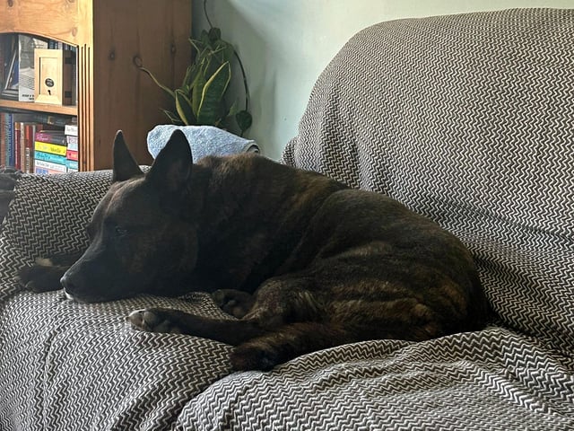 Lenny