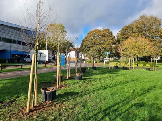 Chichester College planted 12 Amelanchier trees on the front of it campus yesterday (November 3).