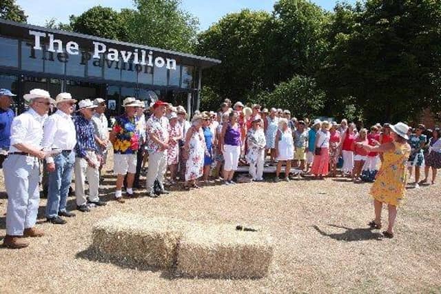 Graylingwell Park Summer Street Party: In Pictures
Picture by Derek Martin